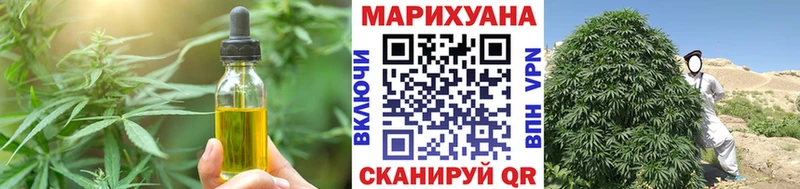 кракен сайт  дарнет шоп  Камызяк  Canna-Cookies конопля 