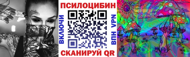 Галлюциногенные грибы мухоморы  купить   МЕГА онион  Камызяк 
